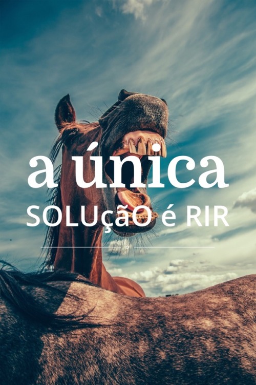 luis-americo - Nirvana