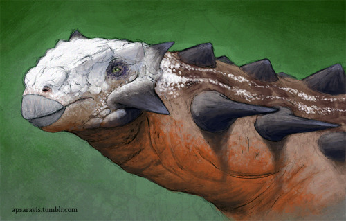 Pinacosaurus, quick sketch colored in Photoshop