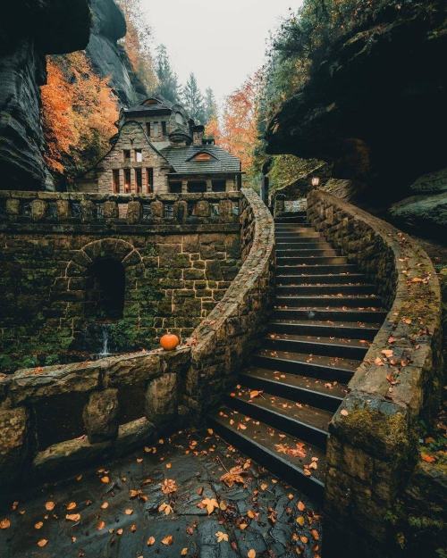 warm-and-cozy-autumn:  Autumn blog🍁🍂🎃