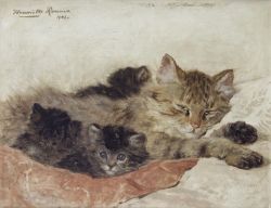 pintoras: Henriette Ronner-Knip (Dutch, 1821 - 1909): Cat and kittens (1903) (via Bonhams)