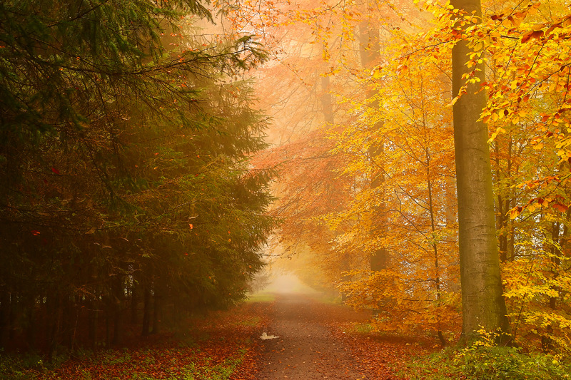dailyautumn:  Gradual… by *chavez666