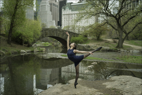 ballerinaproject:Stephanie - Central Park, New York CityBilbao Dress and hosiery by wolfordfashionFo