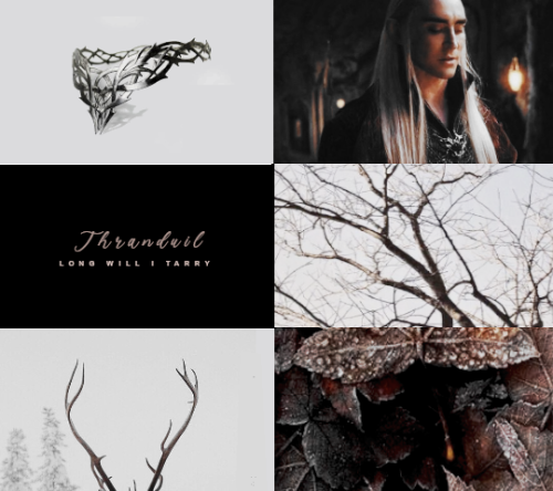 farthest-stars:middle-earth meme: [4/5] elves -> thranduil But the Elvenking said: “Long will I t