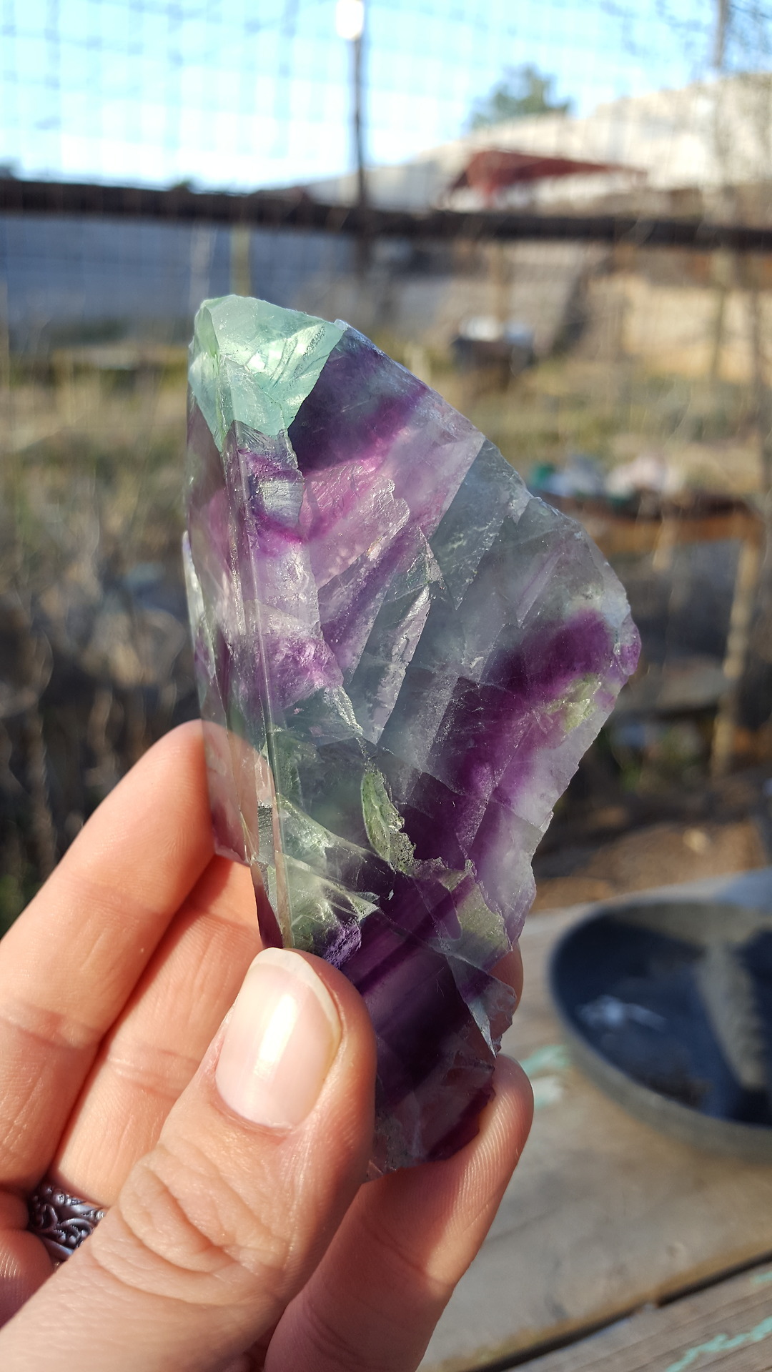 sacreddatura-wirewraps:A really nice piece of Rainbow Fluorite I got at the gem show