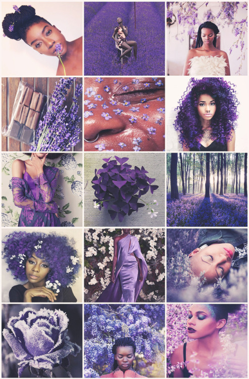 aestheticschaos: Purple Flowers Fairy aestheticrequested by anon