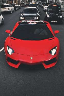 mistergoodlife:  Raging Bull • Mr. Goodlife