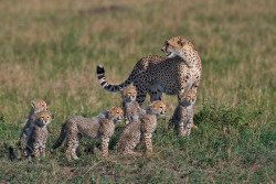  (Via 500Px / Mum With A 6 Pack! By Marc Mol) 