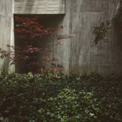 architectureofdoom:  collektor:  073 (em Lisbon, Portugal)  Gulbenkian (?) 