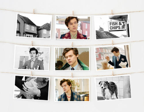 Harry Styles // Gucci Autumn/Winter Campaign. x x