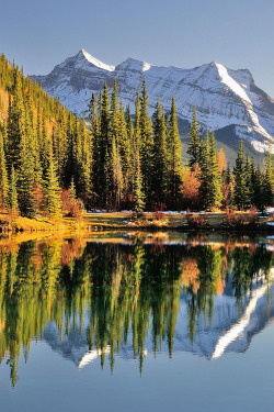 wonderous-world:  Alberta. Canada by Shuchun