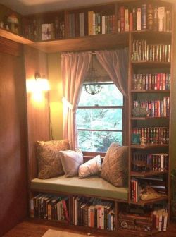 14daysinaweek:  A window library- beautiful. 