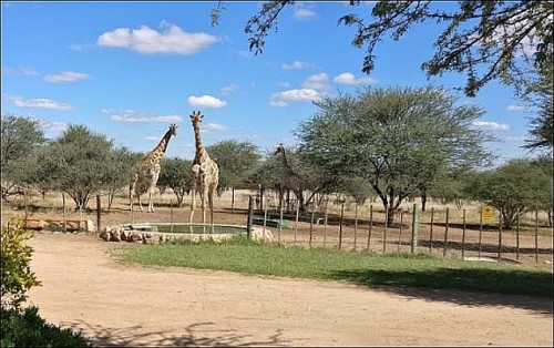 Ombo Rest Camp Provides The Ideal Midway Stopover Between Otjiwarongo And Windhoek, Whilst Allowing Our
