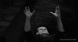 universalmonsterstribute:  Frankenstein (1931) 