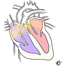 Featured image of post Enfermeria Imagenes Tumblr De Medicina