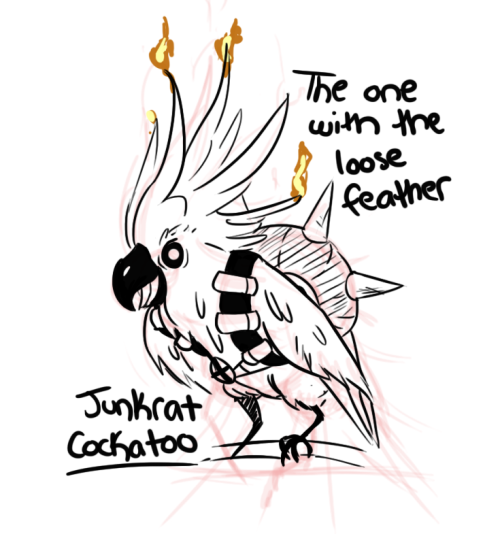 kinokashi:  Drew some of the Overwatch heroes as birds :) Cockatoo Junkrat   Budgie D.Va Sparrow Mercy Rooster MccreePenguin Mei   omg! <3