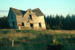 avantgardener:just quietly making myself a pile of photos of the house that was slowly falling down throughout all of my childhood ….. always looked forward to seeing its tilt when we drove by !