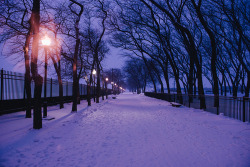 we-set-it-off:  #snow #streets #love #relaxing #trees on We Heart It. 