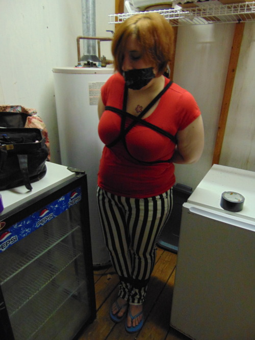 iambondagebunny:  thenoblehound:  Keeping Bunny stashed in a storage closet until needed (I wish). i