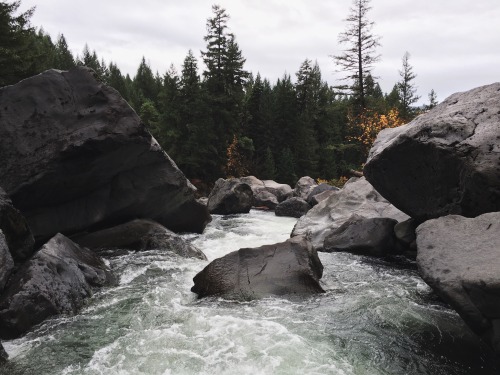 iwokeupthisway:  Prospect, Oregon. 