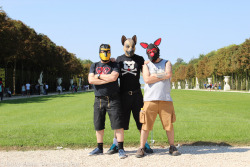 Versailles was amazing. So, so beautiful.http://thehappypup.com/sirius-pups-versailles/
