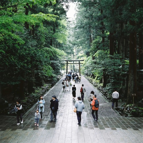 naruki-hashimoto: 彌彦神社