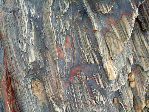 chondritic:jasjabberwocky:Outcrop of the Haast Schist at Brighton beach, DunedinWowwwwww I lov