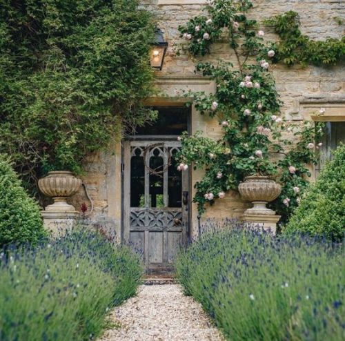 ohjardin:
@burfordgarden