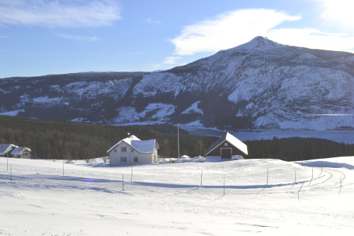 Norwegian farm