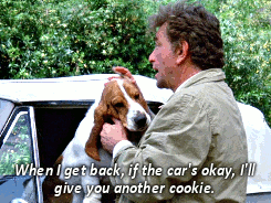 jacksondeforestkelley-archive-d:  Columbo // Grand Deceptions (1989) 