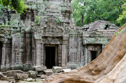 breathtakingdestinations:  Angkor Wat - Cambodia (by scottgunn) 