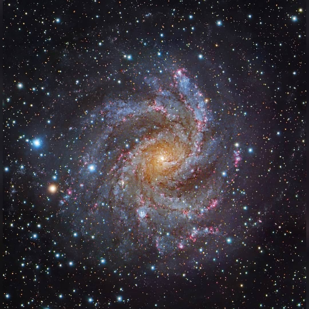 Facing NGC 6946 #nasa #apod #naoj #subarutelescope #ngc6946 #spiralgalaxy #fireworksgalaxy