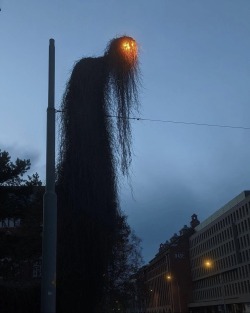 zegalba:a street light in Wroclaw, Poland.