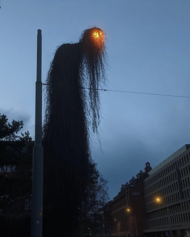 Porn photo zegalba:a street light in Wroclaw, Poland.