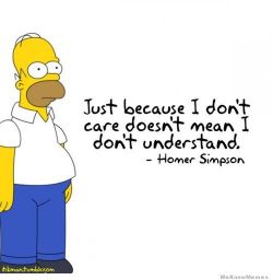 meme4u:  Homer Simpson