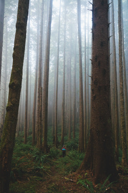 mystic-revelations:  Atmosphere (by Eric