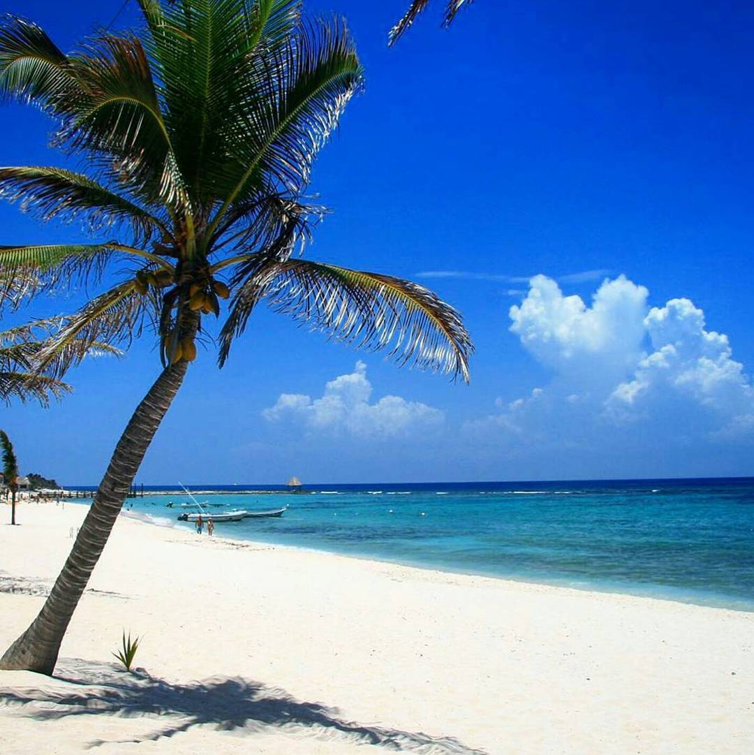 It is commonly believed that the ocean is blue because it is reflecting the blue