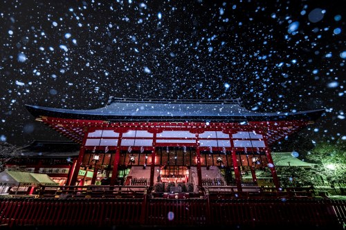 Silent snow at Fushimi Inari Taisha, serene moment captured by @v0_0v______mk