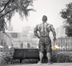 Flex Lewis