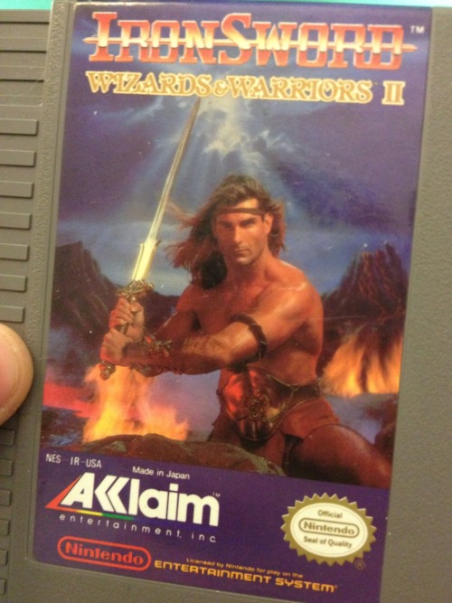 This is one of my favorite NES games. Also, it has Fabio on the cartridge. This will forever be my f