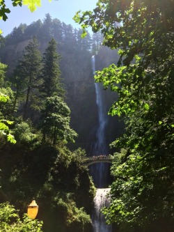 thctara:  Multnomah falls