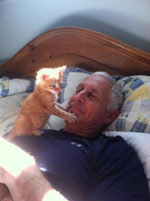 astorianyhairydad:hotdadsbigcocks:destinfriends:Never wanted to be a kitten…….well, until I saw this