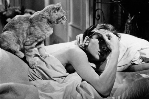 She was still hugging the cat. “Poor slob,” she said, tickling his head, “poor slob without a name. 
