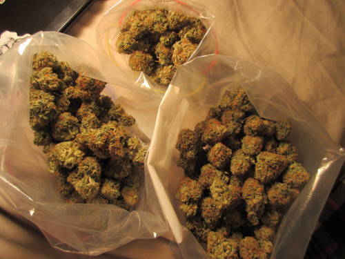 themagicalmysticalwonders: A bag of weed, a bag of weed. Everything is better with a bag of wee