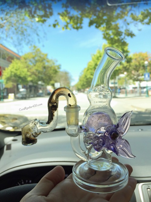coralreefer420:  Travel kit. 