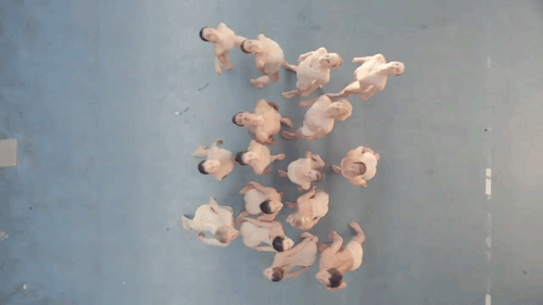 tedx:  Ballet brain — TEDxAmsterdam + the Dutch National Ballet visualize the human