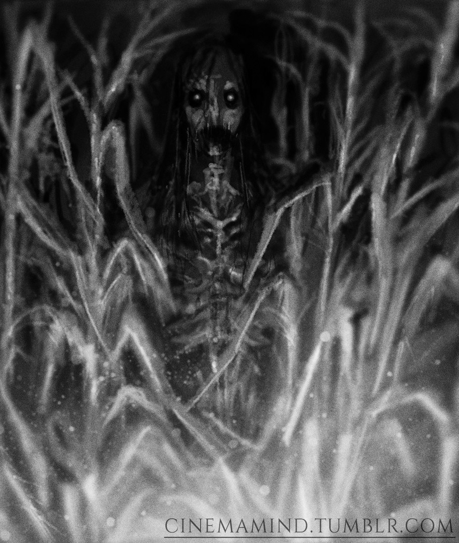killedtheinnocentpeople:  Cornfield Horror by Cinemamind. 