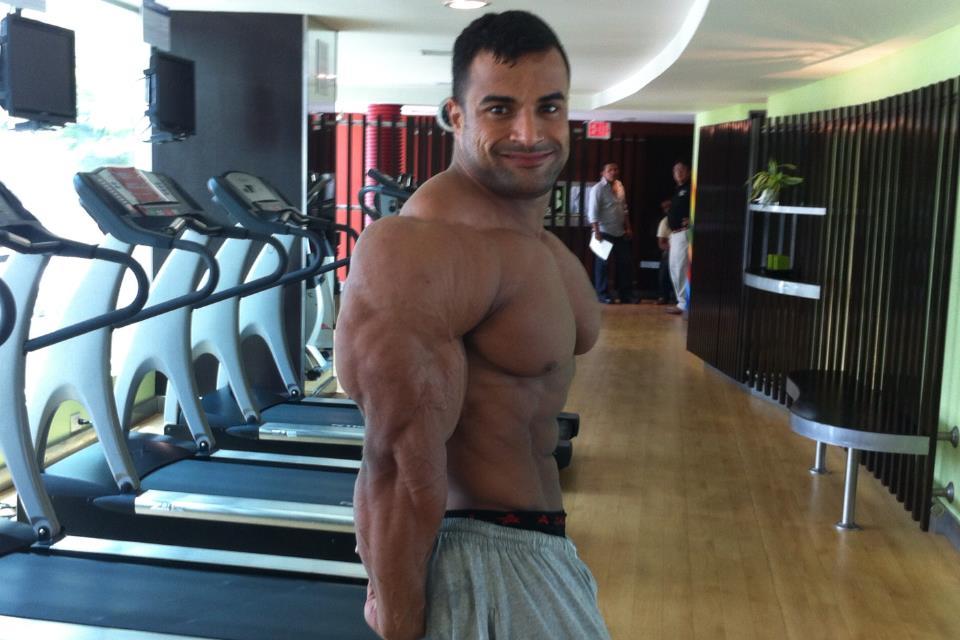 Ahmed Wardany  