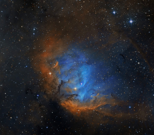 The Tulip in the Swan : Framing a bright emission region this telescopic view looks out along the pl