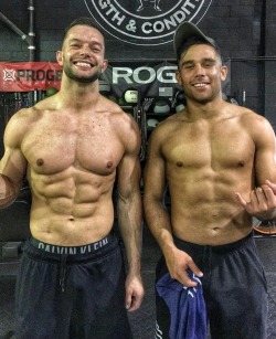 :》》》 finn balor and noam dar