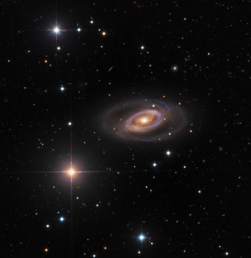 &ldquo;Spiral Galaxy NGC 1350&rdquo; Is the NASA Astronomy Picture of the Day of today, Febr